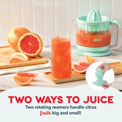 Dual Citrus Juicer
