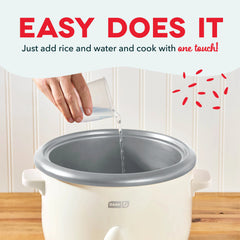 Family Sized Rice Cooker